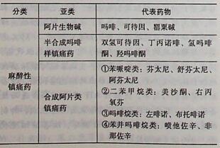 属于半合成吗啡样镇痛药的是（）。