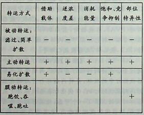 蛋白质和多肽的吸收具有一定的部位特异性，其主要吸收方式是（）。