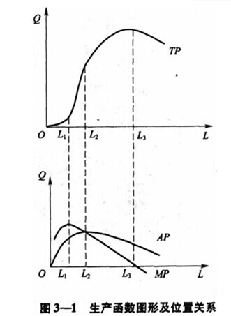 下列关于总产量、边际产量、平均产量曲线的说法，正确的是（）。