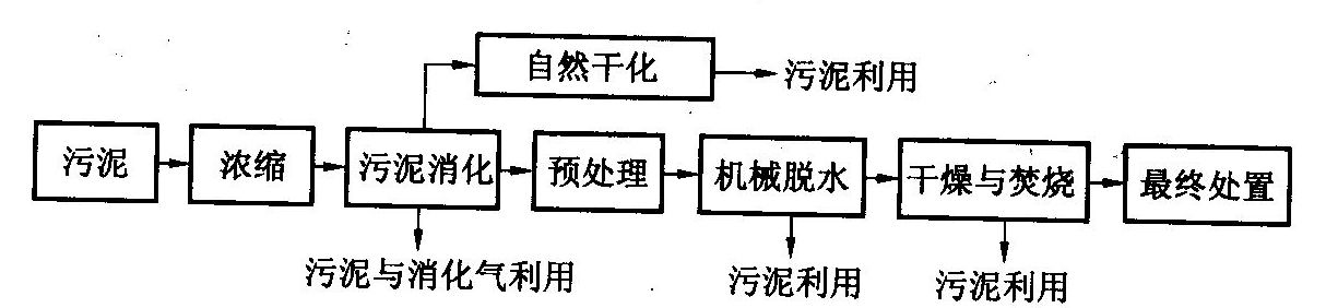 测定混凝土立方体抗压强度所采用的标准试件,其养护龄期是(    ).