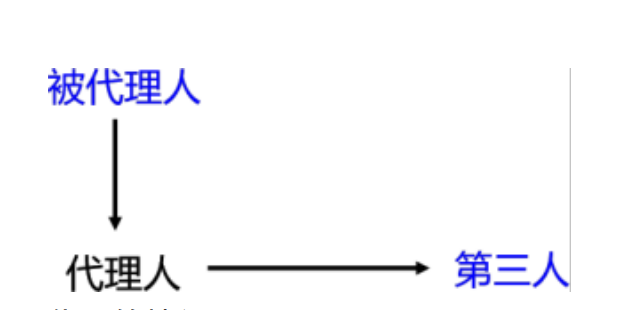 招标代理过程中，由于代理行为过程产生的后果，应由（ ）承担责任。