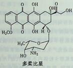 盐酸多柔比星毒性作用主要是骨髄抑制和心脏毒性，产生这一副作用的原因可能是（）。