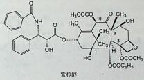 根据构效关系判断，属于多西他赛结构的是（）。