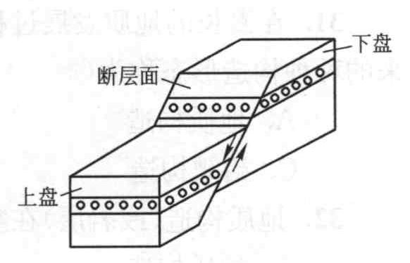 右图中表示的断层类型是()。