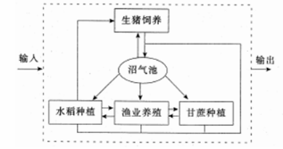 循环农业是美丽乡村建设的途径之一。下图采用循环农业模式，读图回答下列问题。循环农业对建设美丽乡村的主要作用是（  ）。①提高经济效益②加快城市化进程③减缓人口老龄化④提供清洁能源